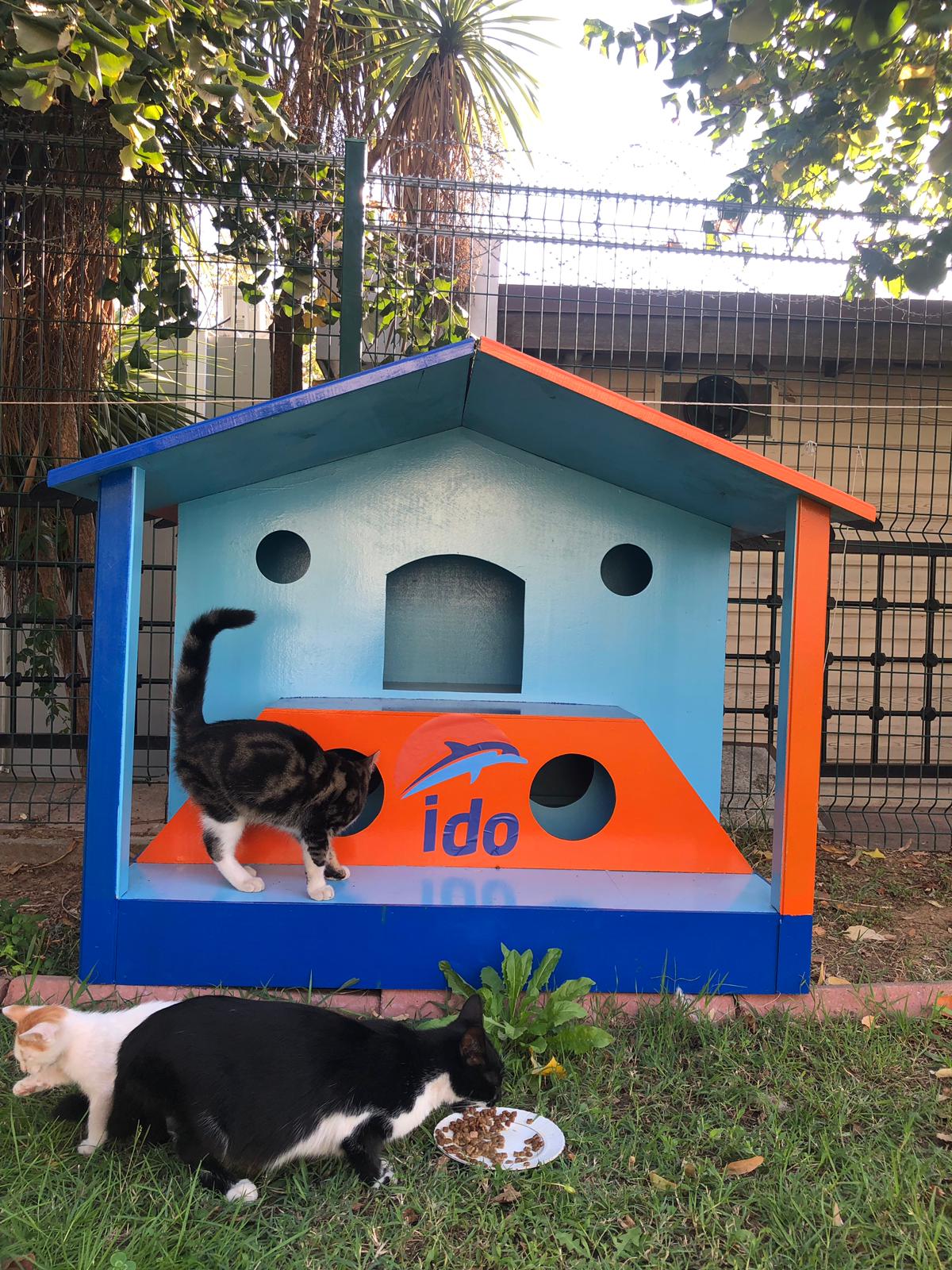 İDO terminallerine kedi ve köpek evleri