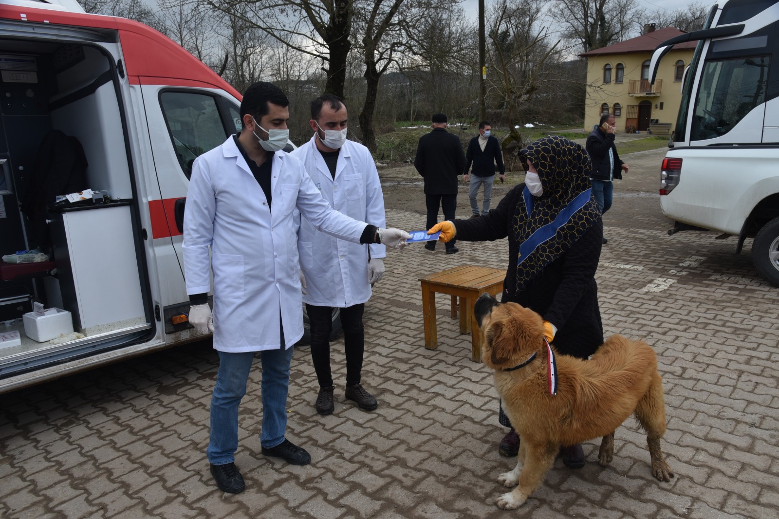 İzmit’in köylerinde sokak hayvanları aşılanıyor