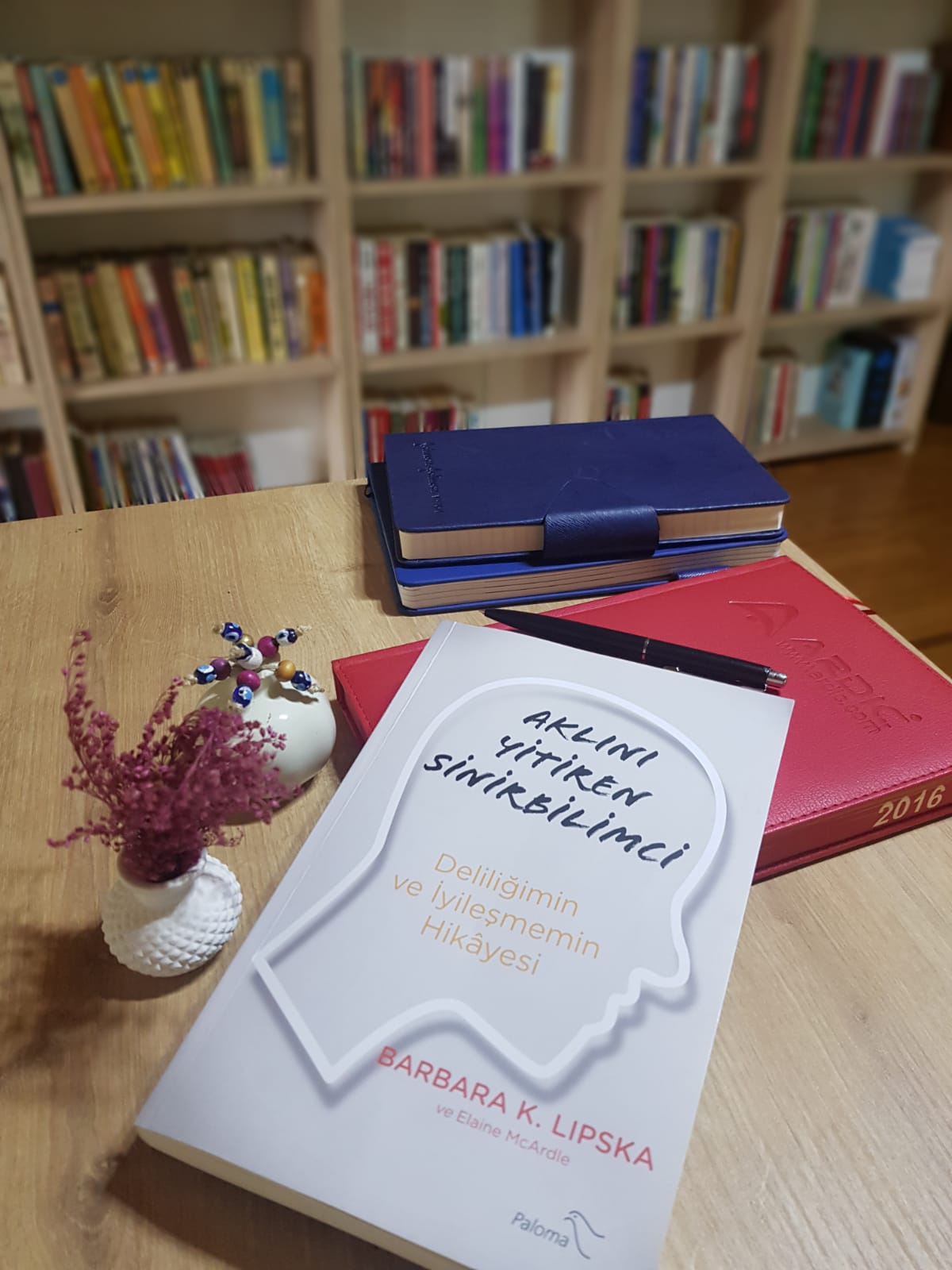 Aklını Yitiren Sinirbilimci