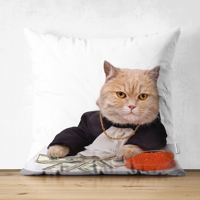 KEDİLERDE ASPİRİN ZEHİRLENMESİ