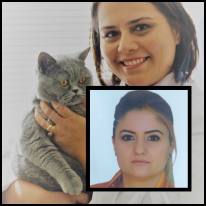PROFESÖR DOKTOR EBRU YALÇIN
