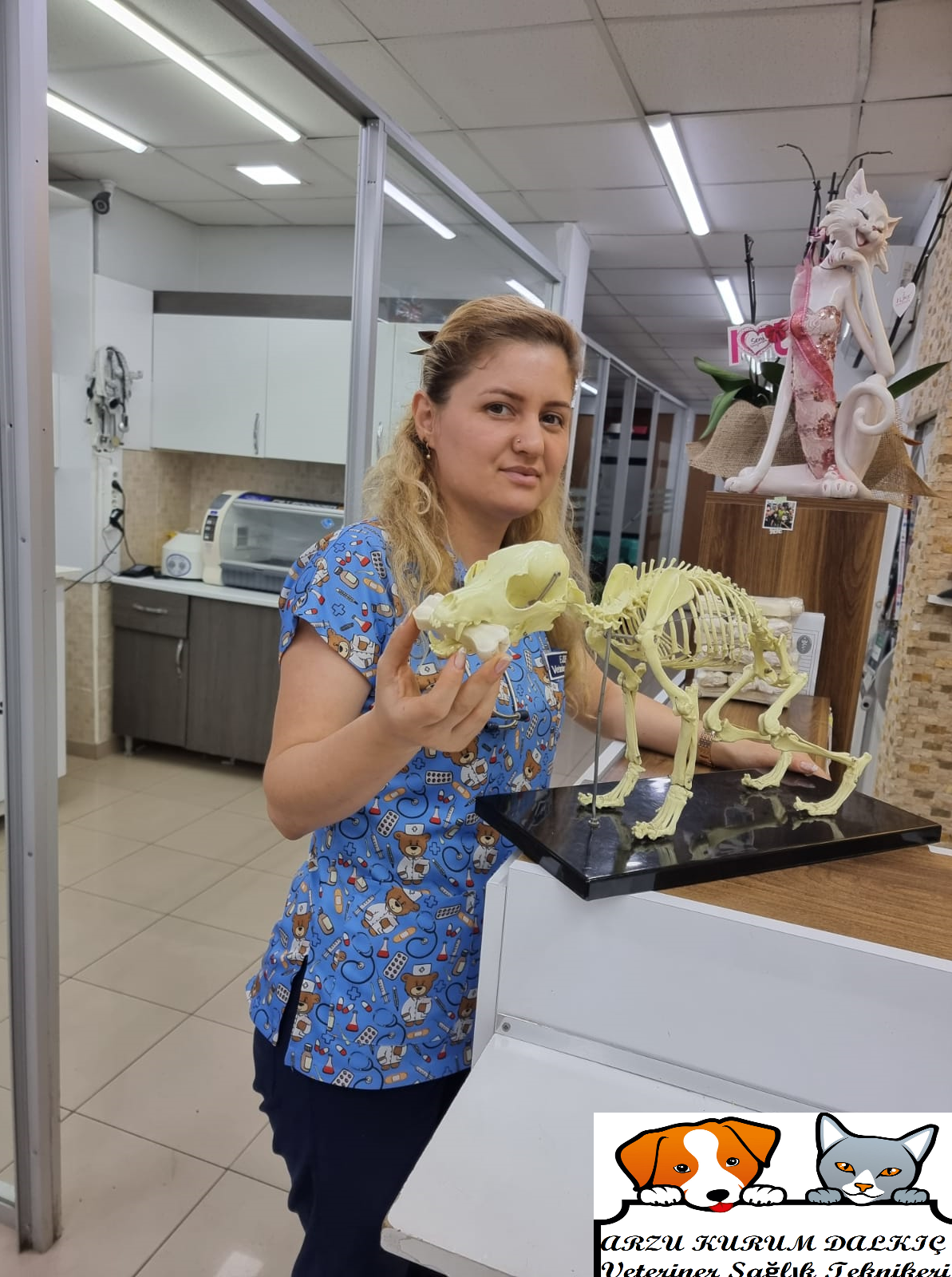 KEDİ VE KÖPEKLER DE UYGULANAN BAZI KAS VE İSKELET SİSTEMİ AMELİYATLARI