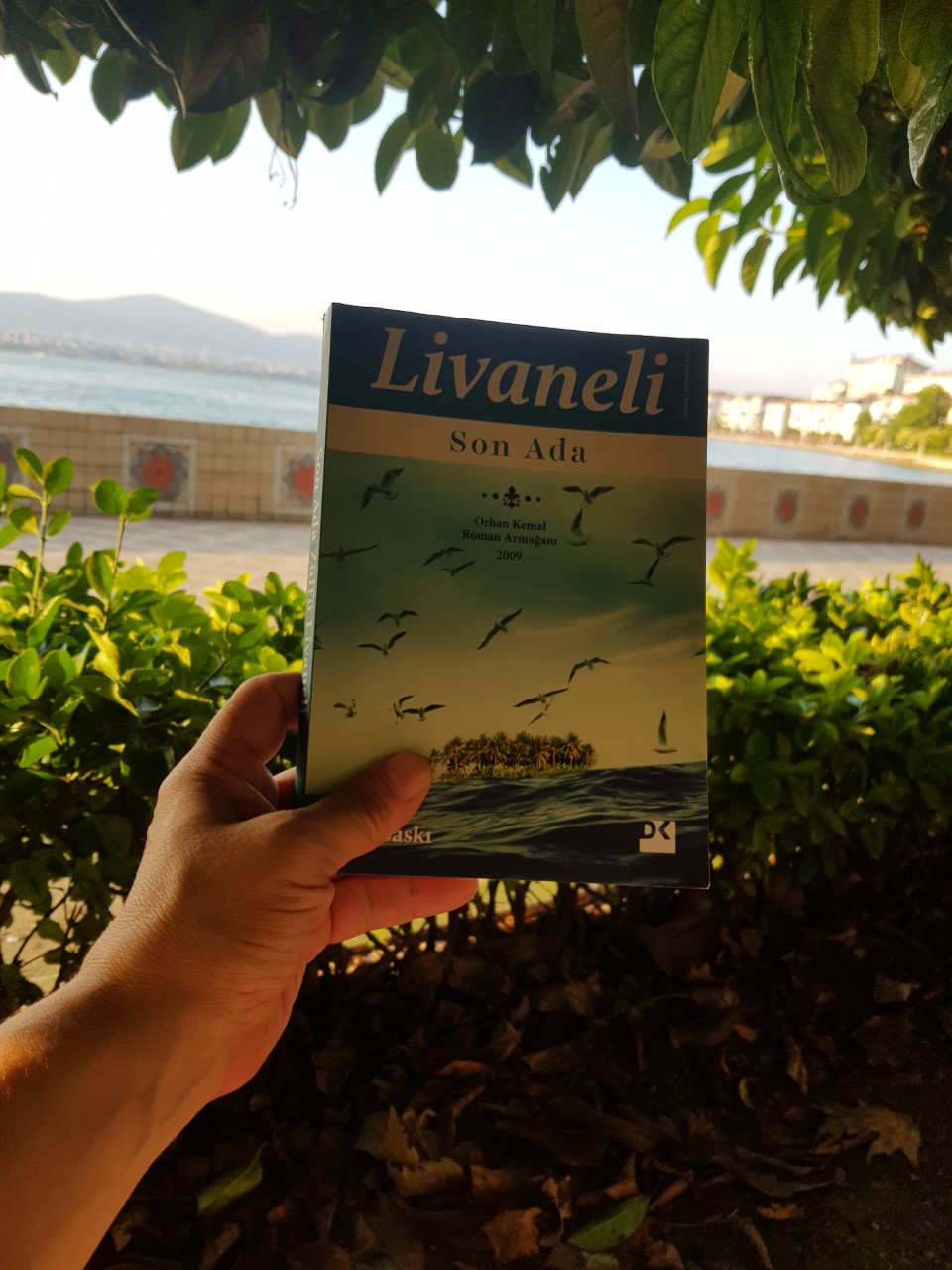 Son Ada, Zülfü LİVANELİ