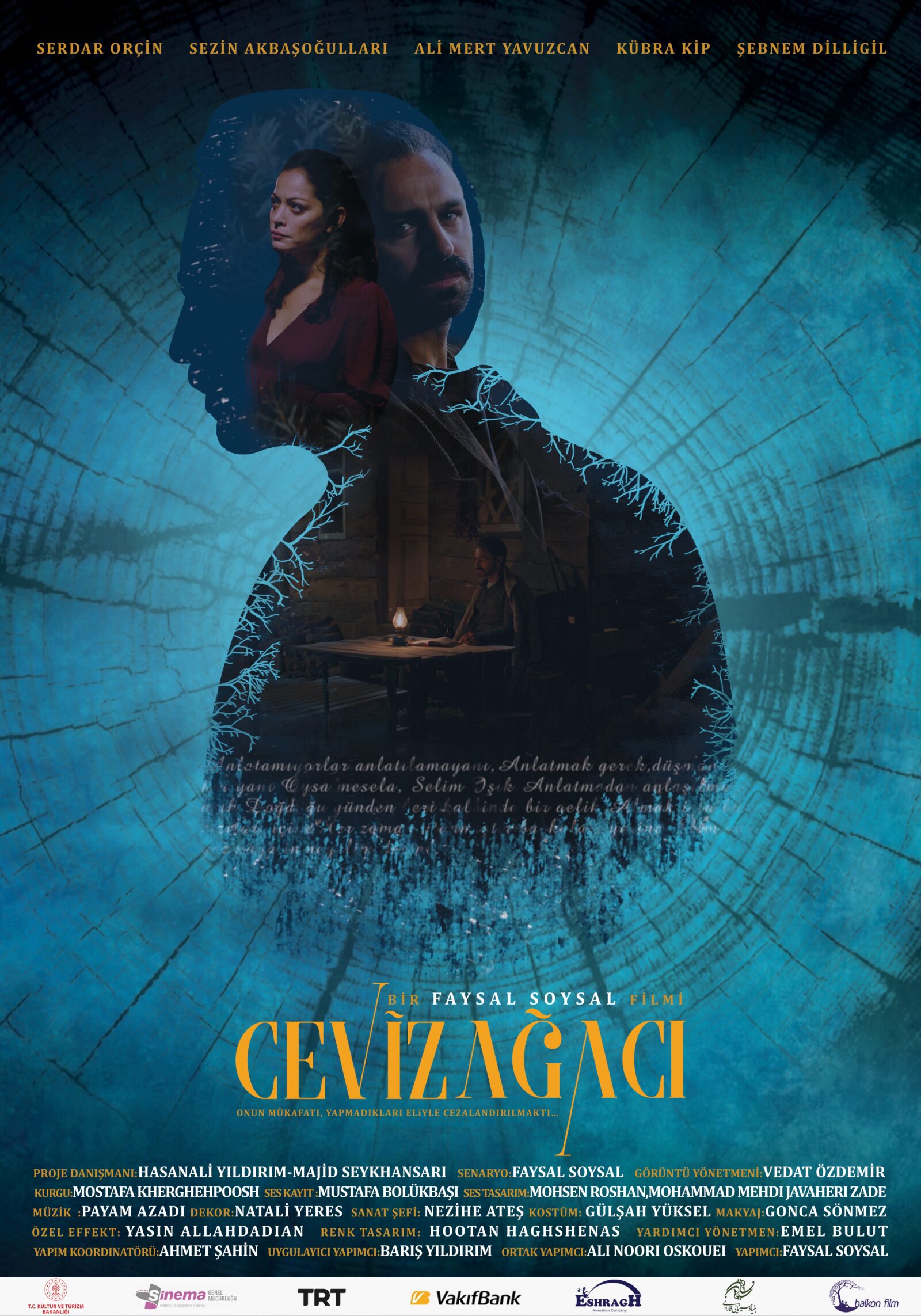 CEVİZ AĞACI