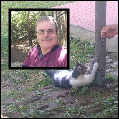 hayri sarı