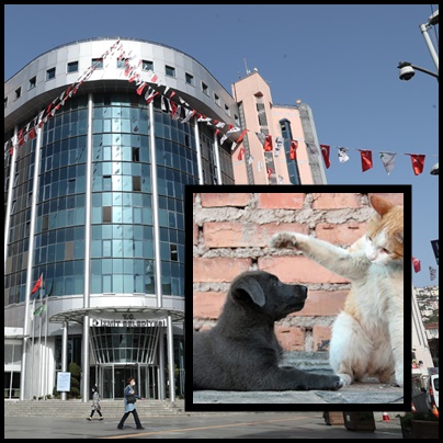 izmit belediyesi