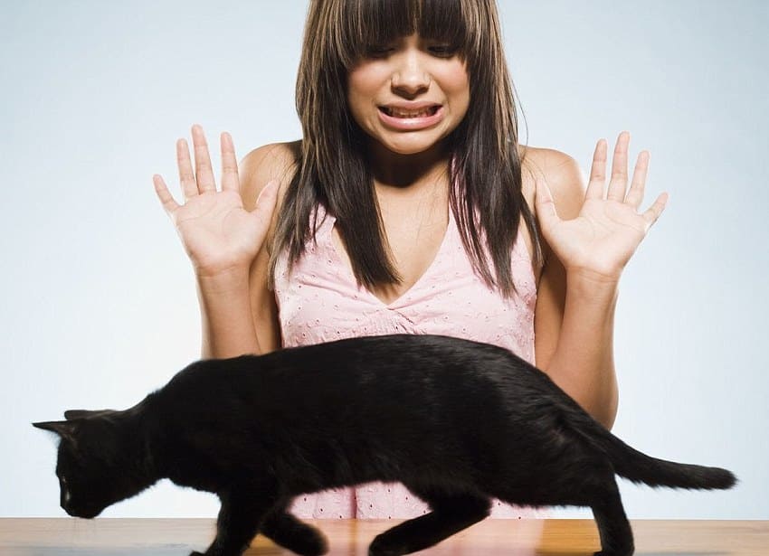 Kedi ve Köpekten Korkmanızın Nedeni Anne ya da Babanızın Korkuları Olabilir