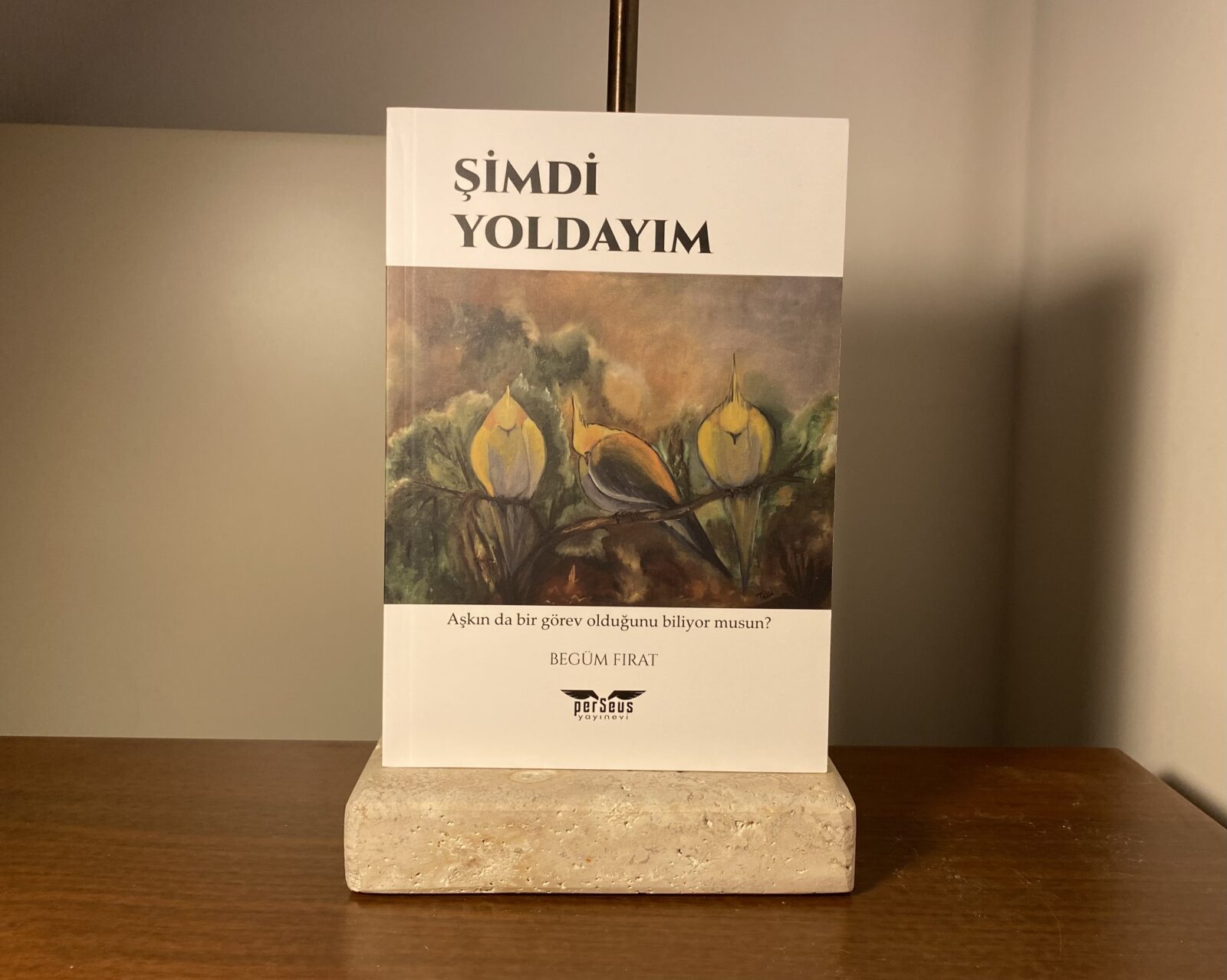 kitap